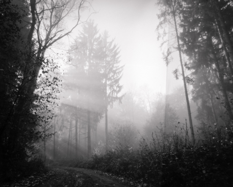 Daydreaming Image 30