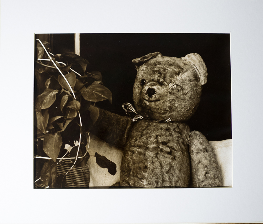 Lockdown Teddy Image 2