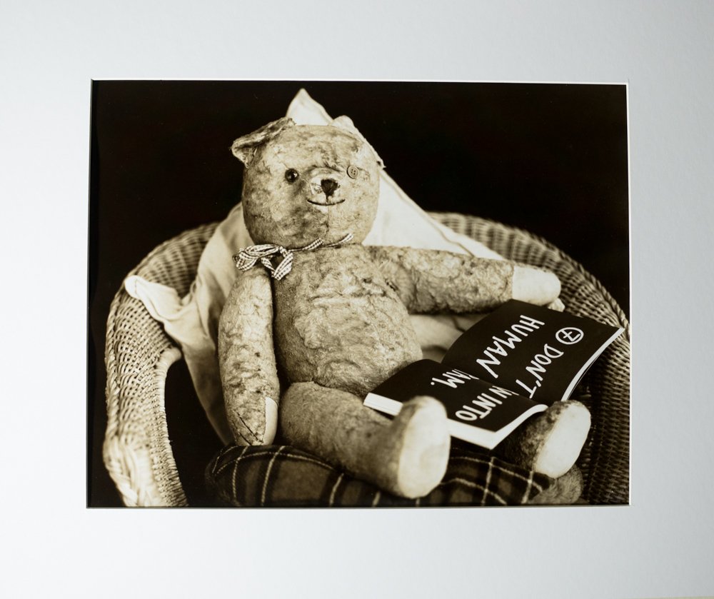 Lockdown Teddy Image 1