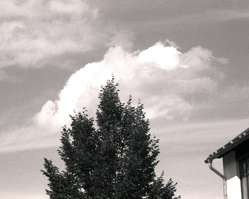 Daydreaming Image 1