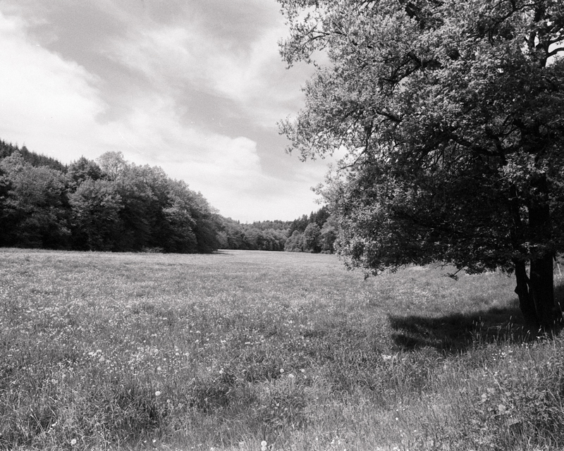 Daydreaming Image 7