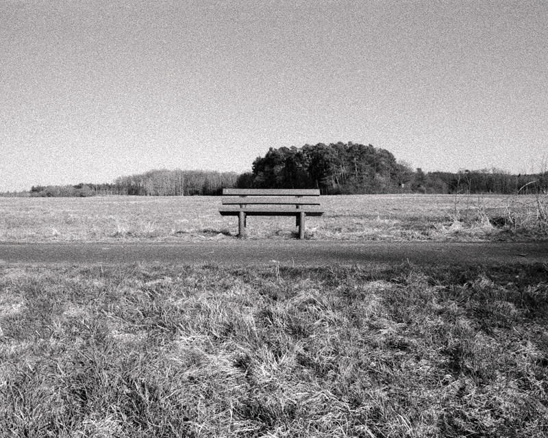 Daydreaming Image 5