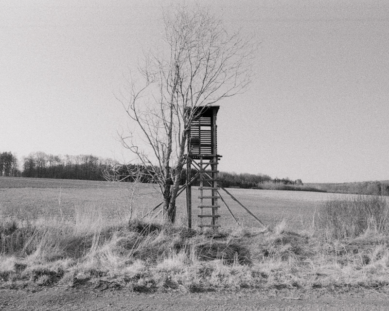 Daydreaming Image 6
