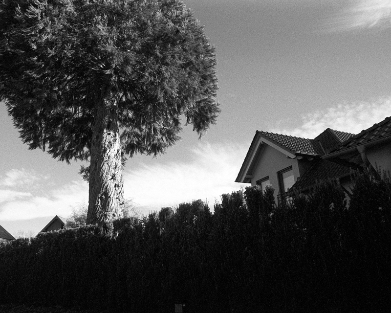 Daydreaming Image 46