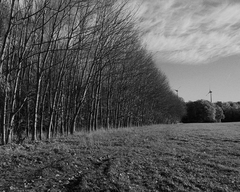 Daydreaming Image 4