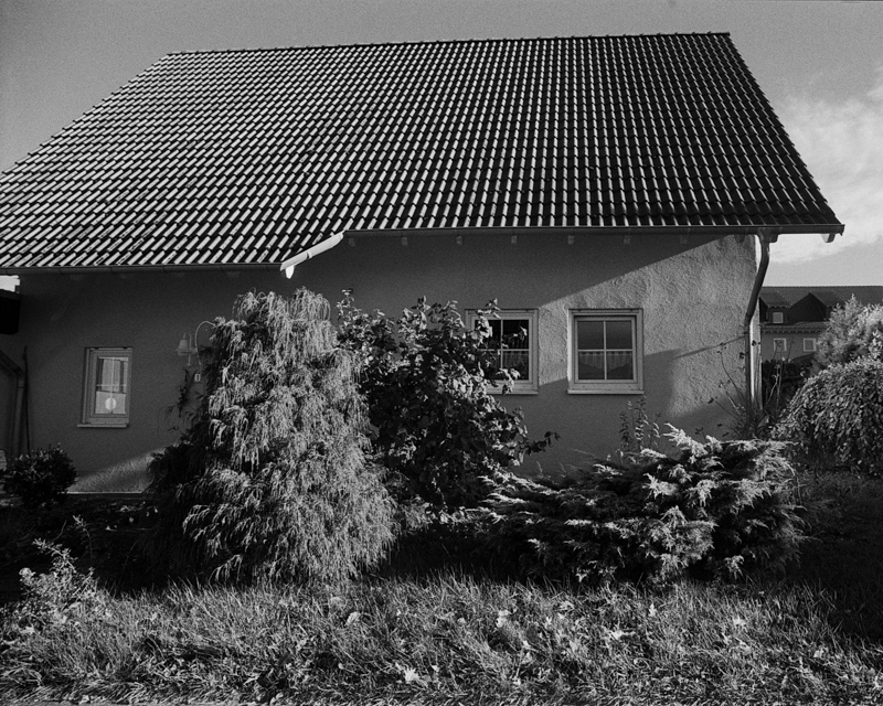 Daydreaming Image 18