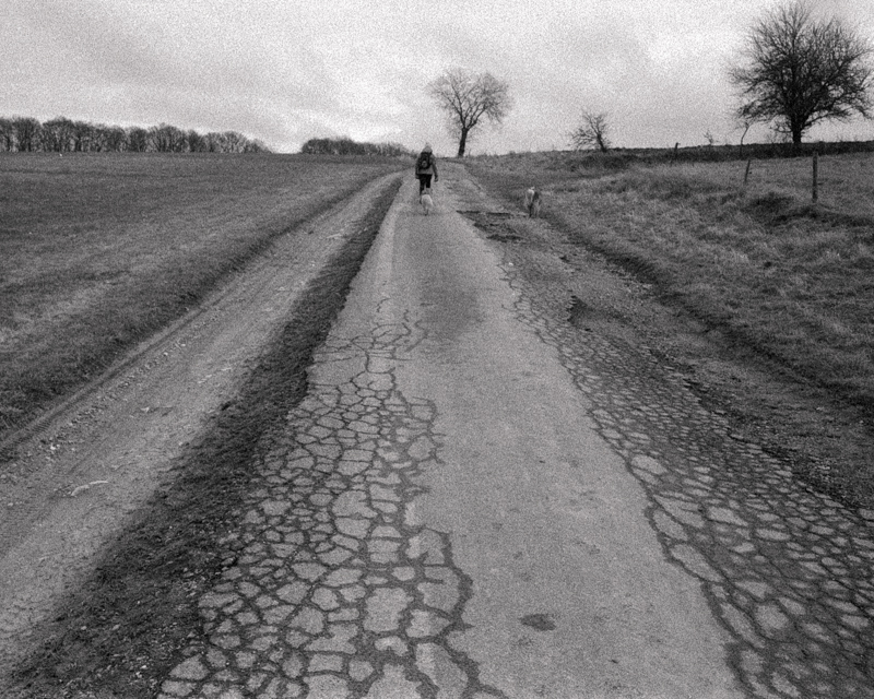 Daydreaming Image 50