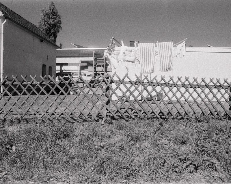 Daydreaming Image 41