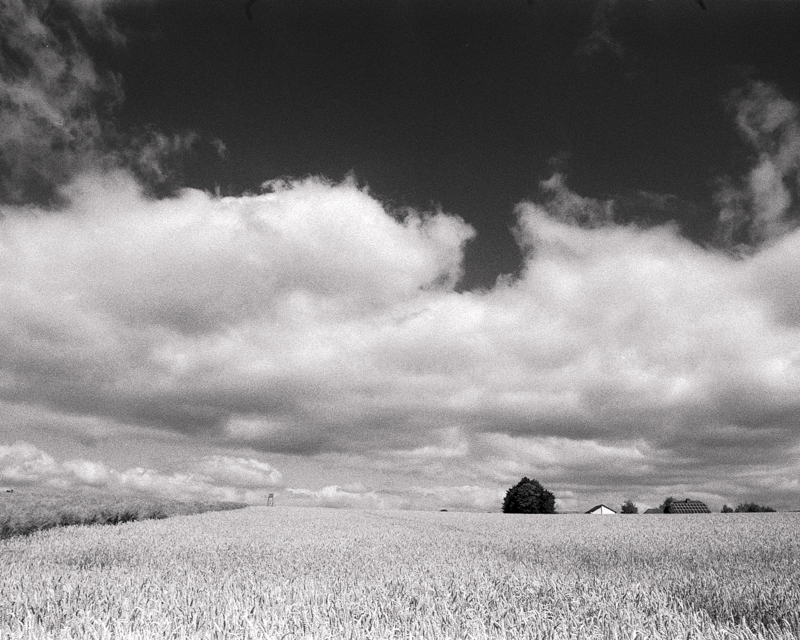 Daydreaming Image 35