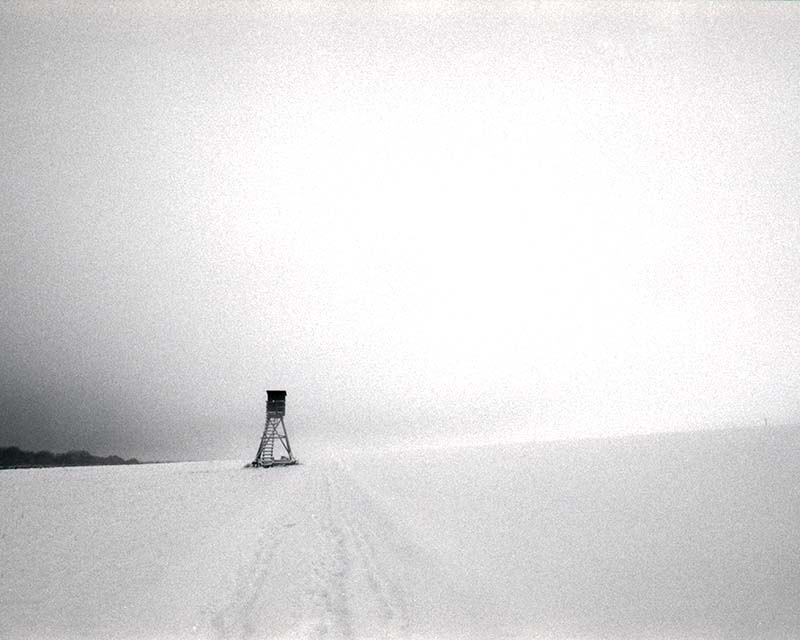 Daydreaming Image 25