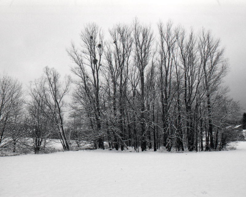 Daydreaming Image 24