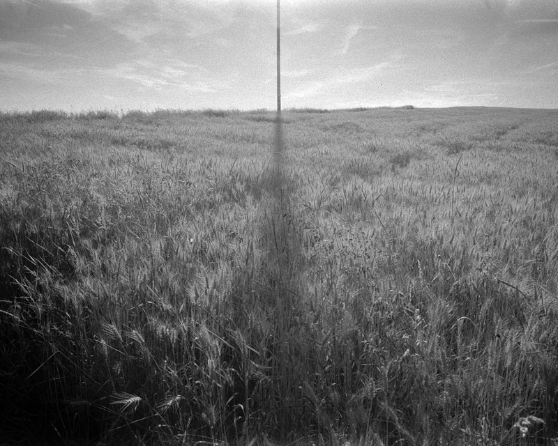 Daydreaming Image 19