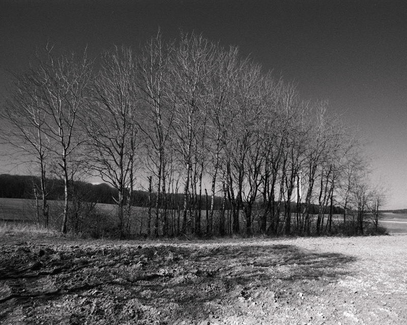 Daydreaming Image 3