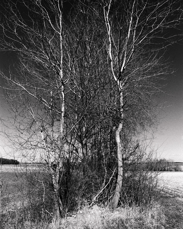 Daydreaming Image 49