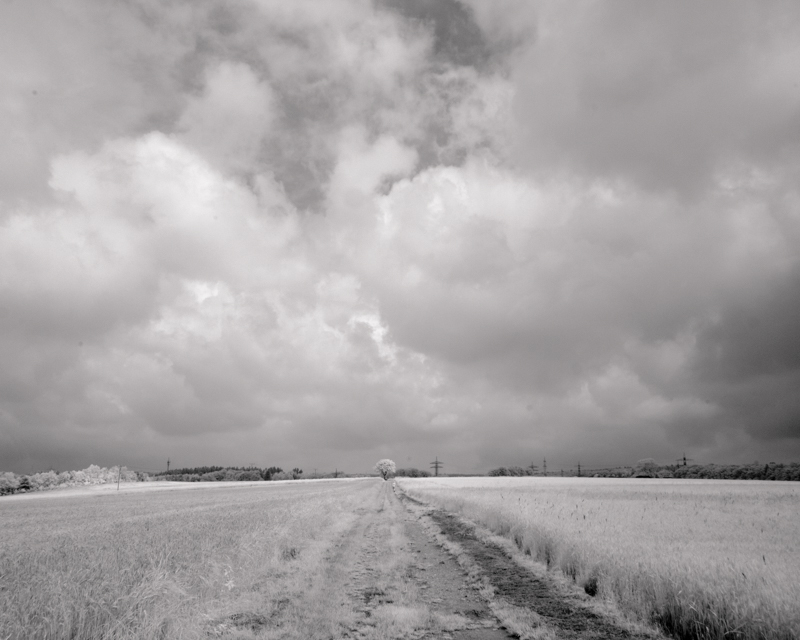 Daydreaming Image 29