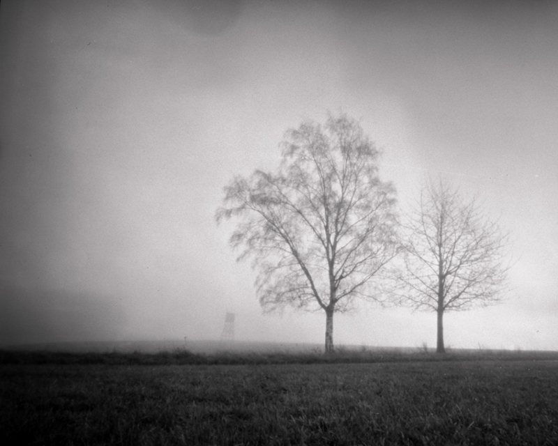 Daydreaming Image 23